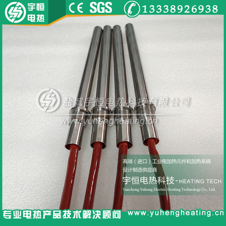 进口INCONEL600发热管